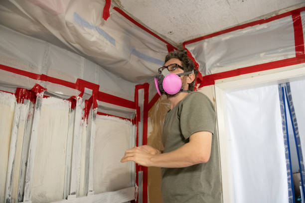  Yuma, AZ Mold Removal Pros