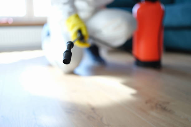 Best Mold Removal for HVAC Installations  in Yuma, AZ