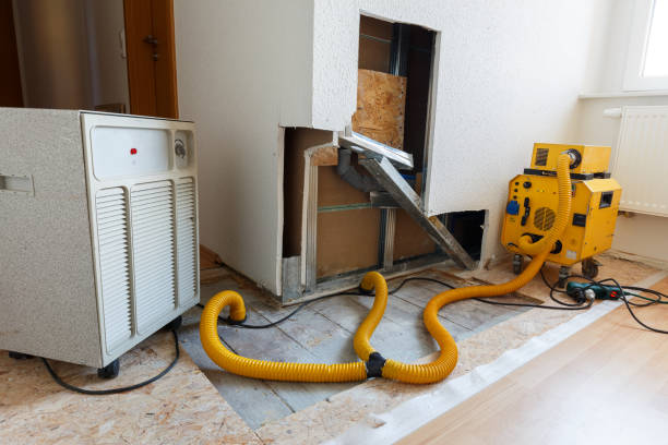 Best Dehumidification Services  in Yuma, AZ