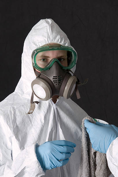 Best Mold Documentation for Insurance Claims  in Yuma, AZ